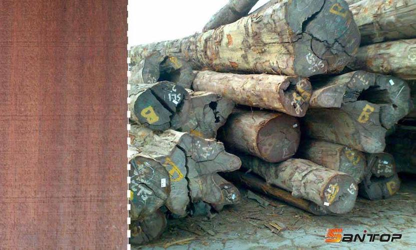 坤甸原木产品图片,坤甸原木产品相册 - 顺德胜亨通木材贸易